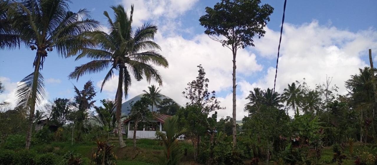 Talaga Tomohon Home Stay And Fishing Pond Exterior foto