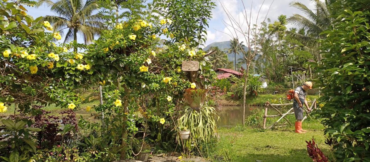 Talaga Tomohon Home Stay And Fishing Pond Exterior foto