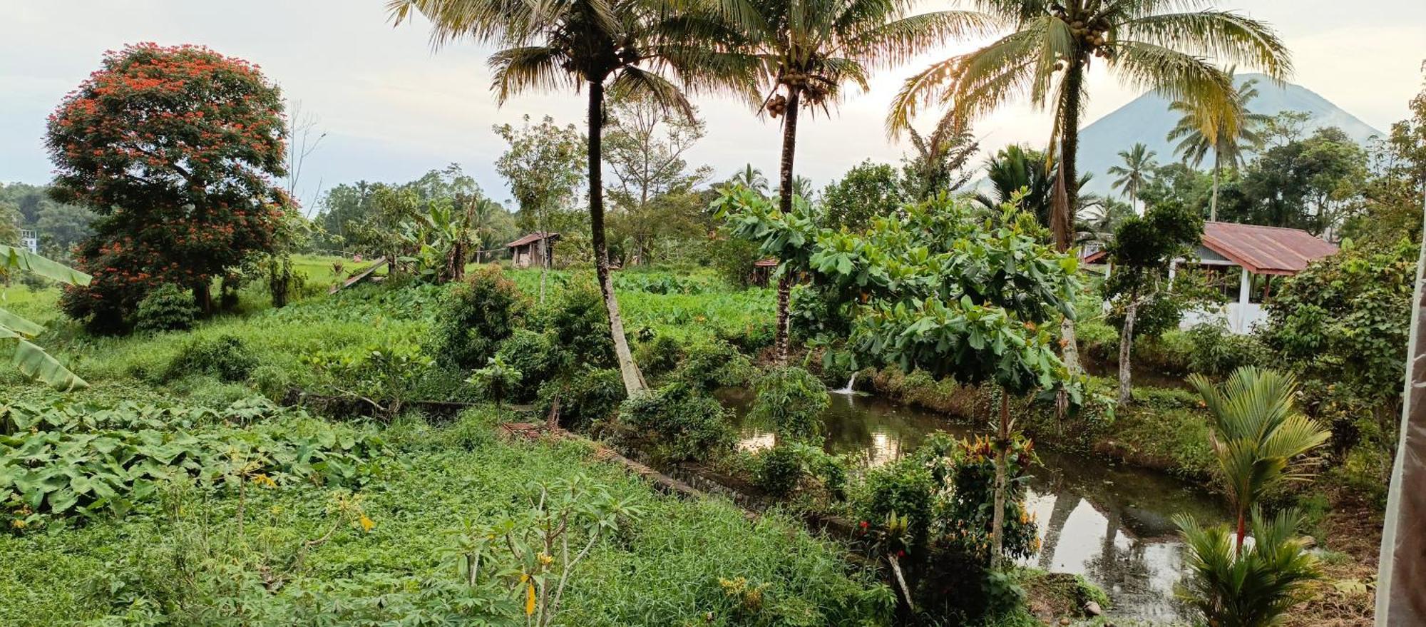 Talaga Tomohon Home Stay And Fishing Pond Exterior foto