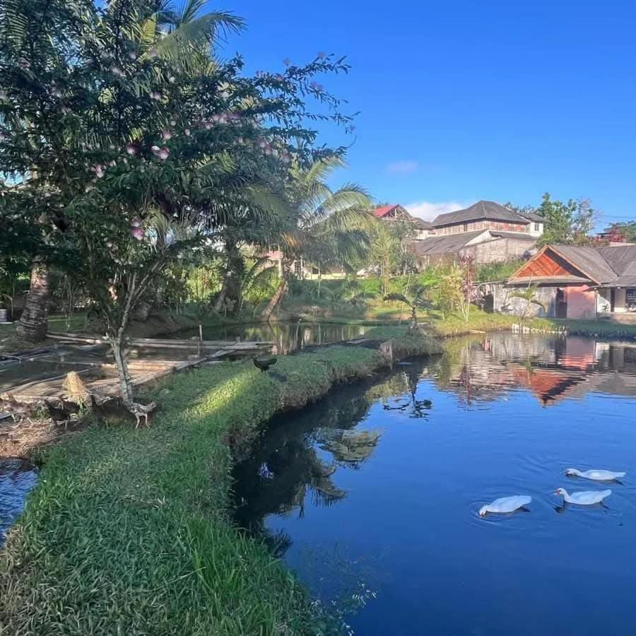 Talaga Tomohon Home Stay And Fishing Pond Exterior foto