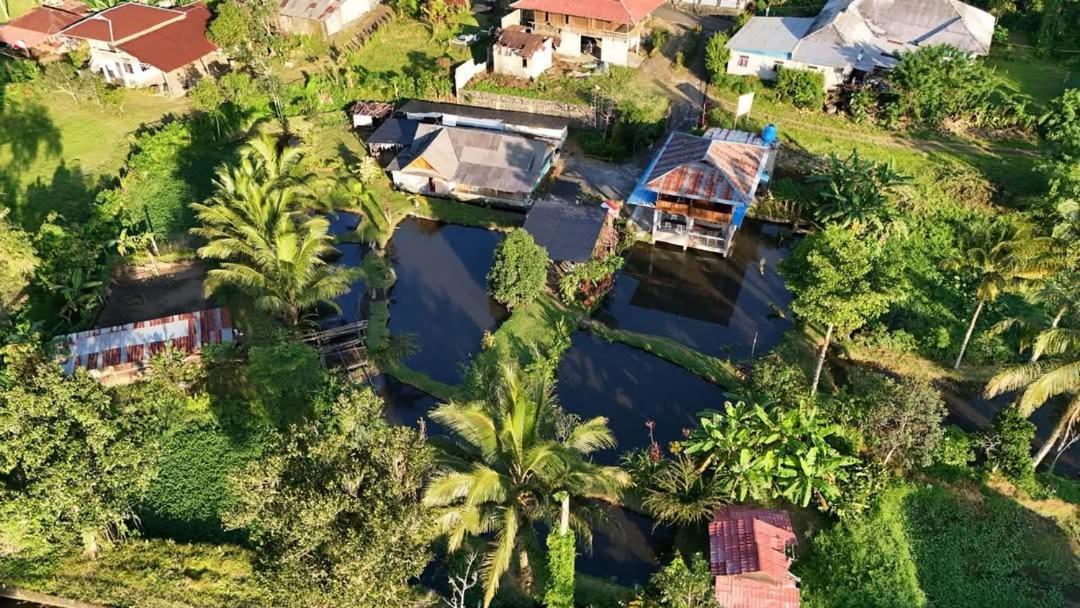 Talaga Tomohon Home Stay And Fishing Pond Exterior foto